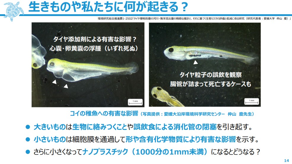 話題提供のスライド