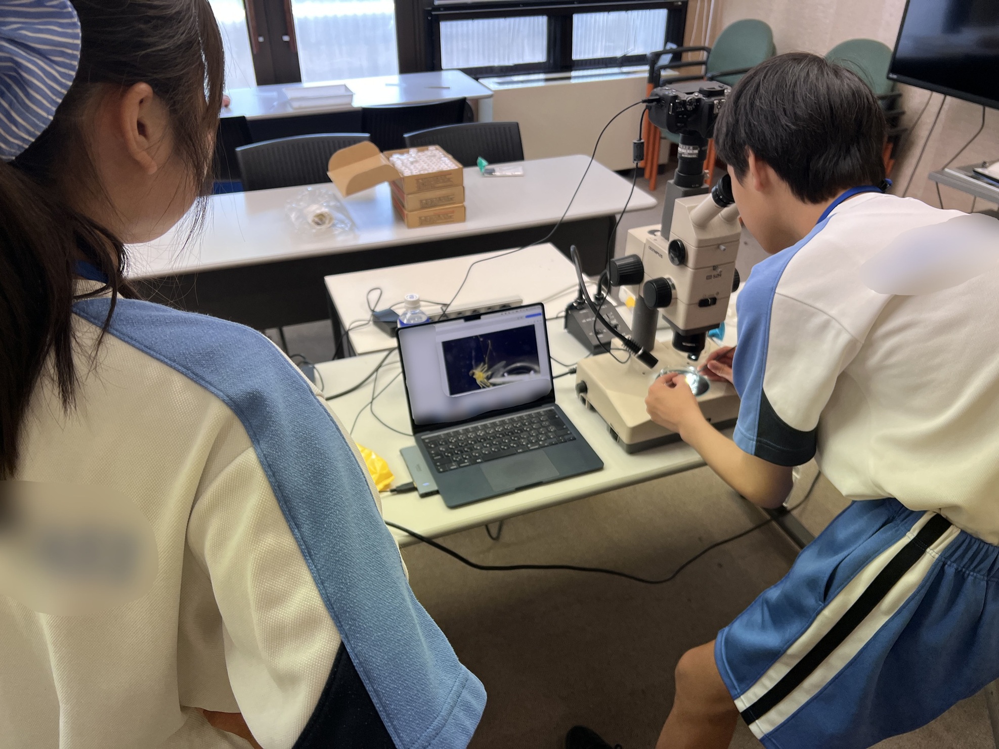 体験の様子。生徒二人が写っており、一人は顕微鏡を覗いている。顕微鏡で見えている様子はパソコンのモニターに映し出されており、もう一人の生徒はそのモニターを見ている。