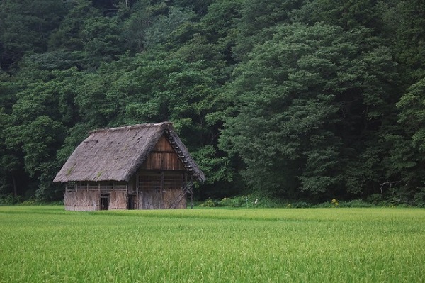 殻ぶき屋根の小屋の写真