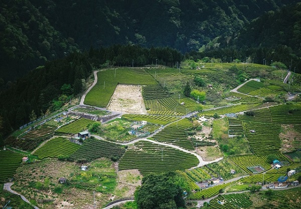 山間にある田畑の写真